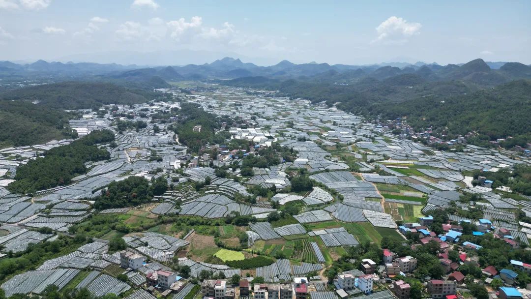 ��������ϲӭ�S�գ�