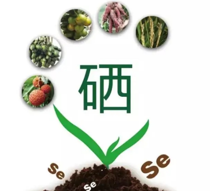 ʲô�Ǹ�����������Щ�rֵ