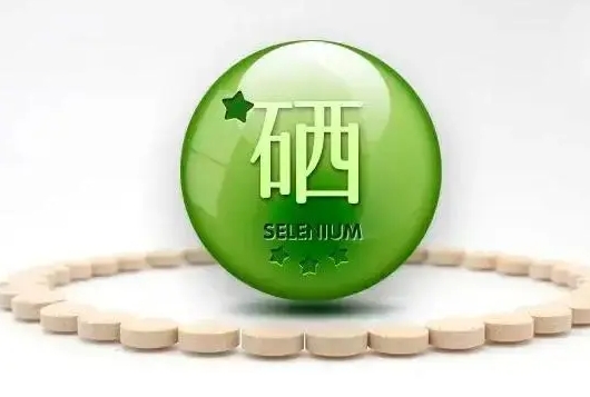 �������w��10���̎����֪���ׂ���