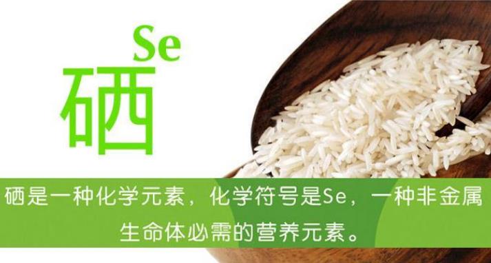 �l(f��)չ���������r(n��ng)�I(y��)-�ƌW(xu��)�a�� ׌���������