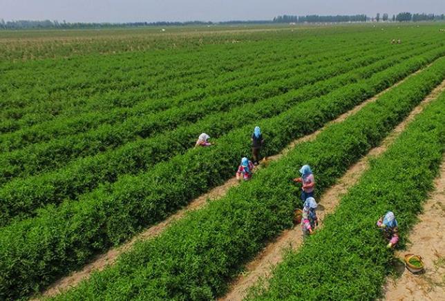 ʲô�Ǹ����r(n��ng)�I(y��)