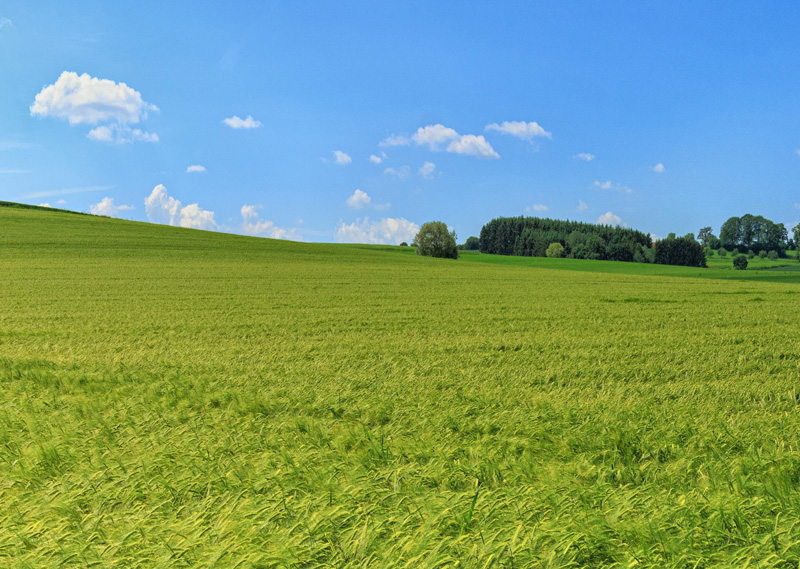 �P(gu��n)��������֪��������ʲô�Ǹ�����������(du��)���w�ĺ�̎